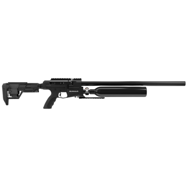 BENJAMIN .25 GUNNAR